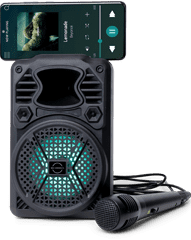 BRAINZ Karaoke Boombox met Microfoon